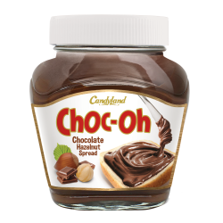 Choc-Oh Chocolate Hazelnut Spread Jar 350gm
