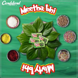 Paan Dum Gum Box 36Pcs